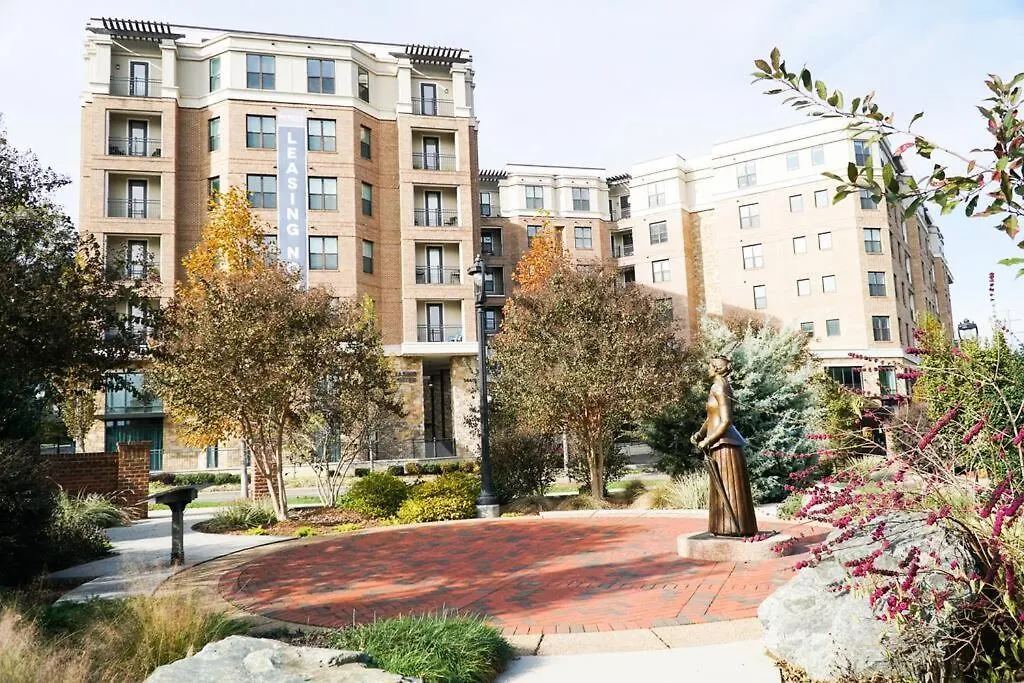 Luxury Dilworth 1Br ◉ Near Food, Shops & Greenway Charlotte